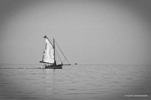 Sailing, N&B, voilier