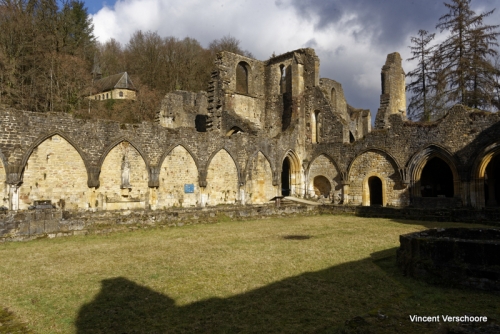 Abbaye d'Orval - ruines.